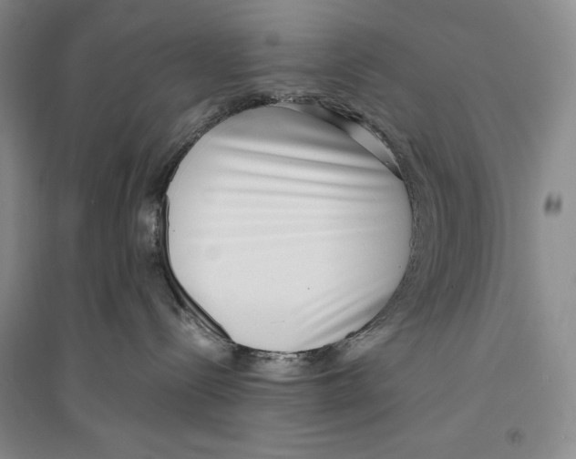 X0000096180288200802151448