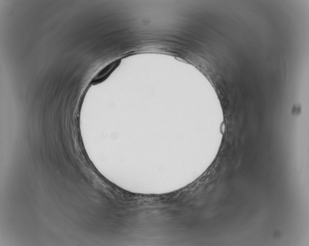 X0000096180289200802151447