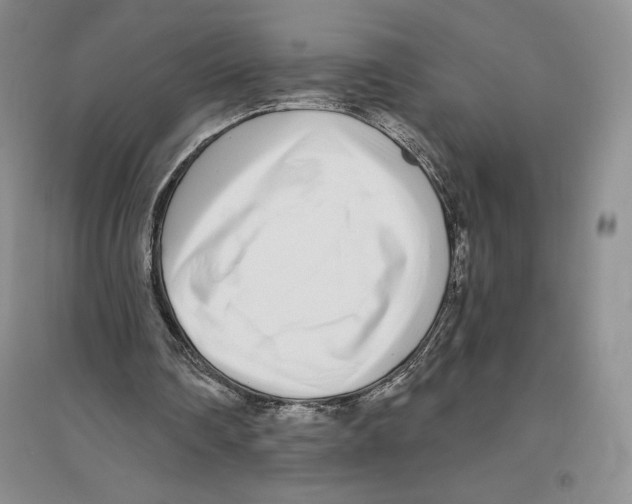 X0000096180290200802151447