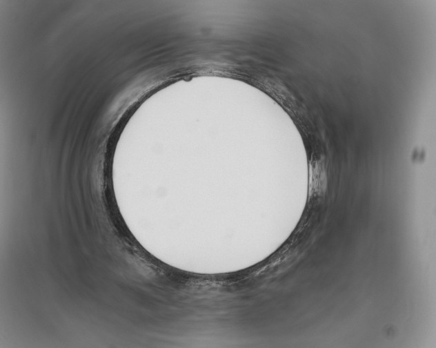 X0000096180291200802151447