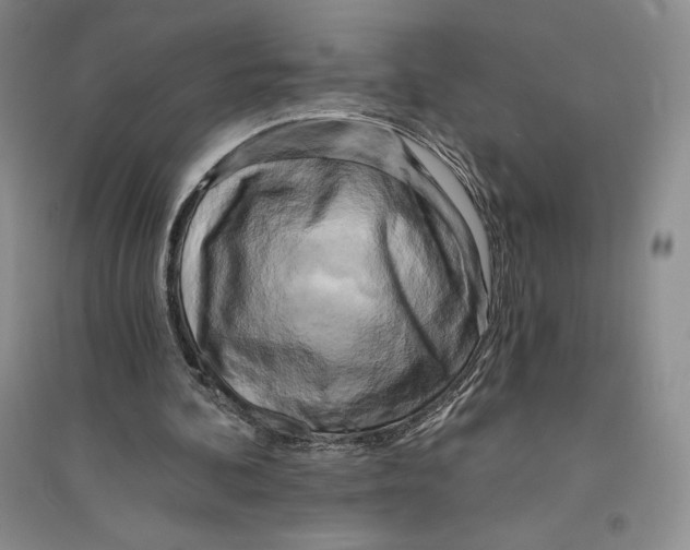X0000096180292200802151447