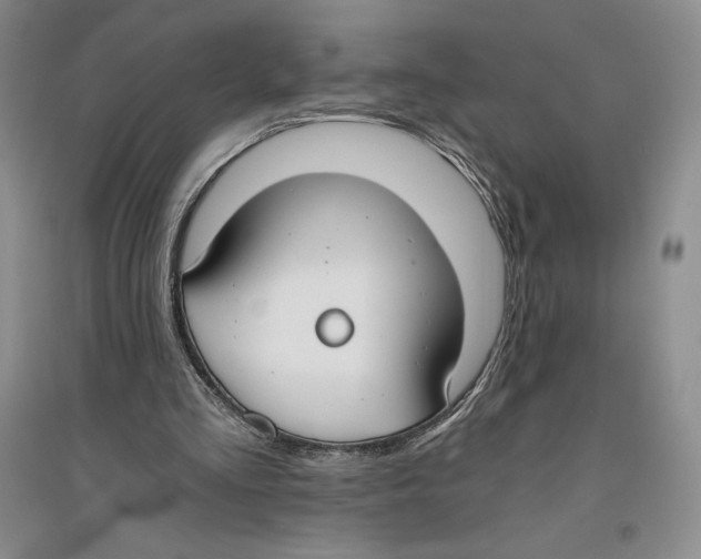 X0000096180293200802151447