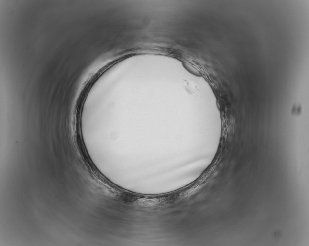 X0000096180294200802151447