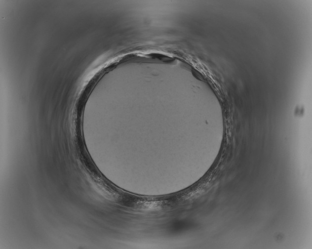 X0000096180295200802151447