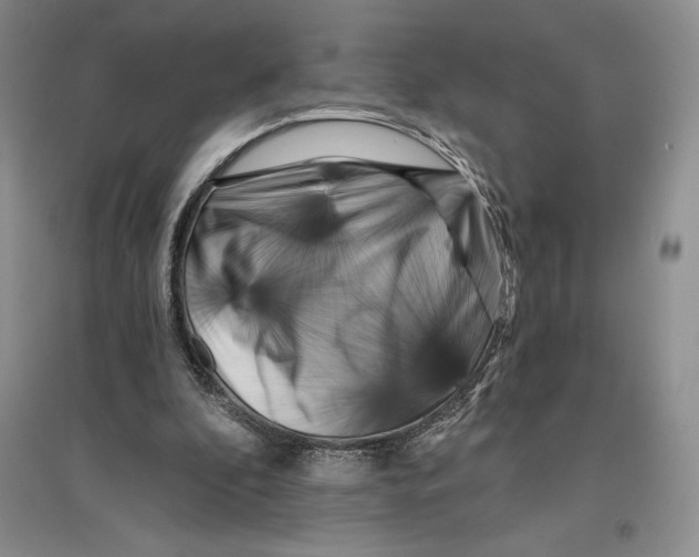 X0000096180296200802151447