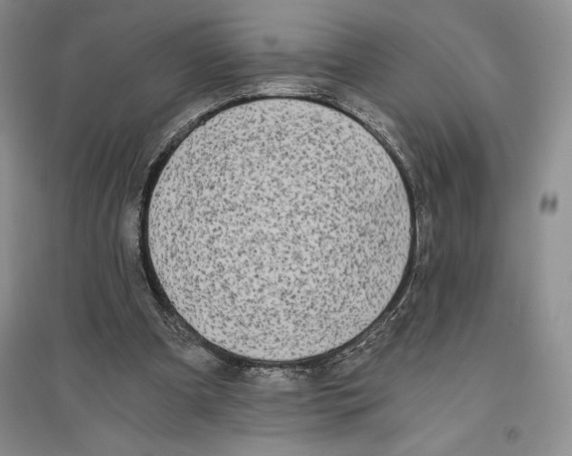 X0000096180297200802151447
