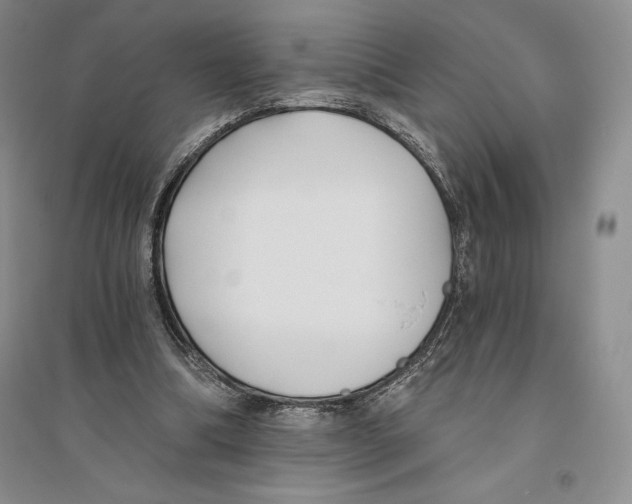 X0000096180298200802151447
