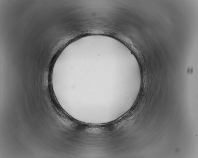 X0000096180299200802151447