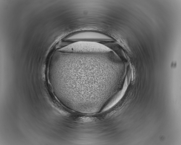 X0000096180300200802151447