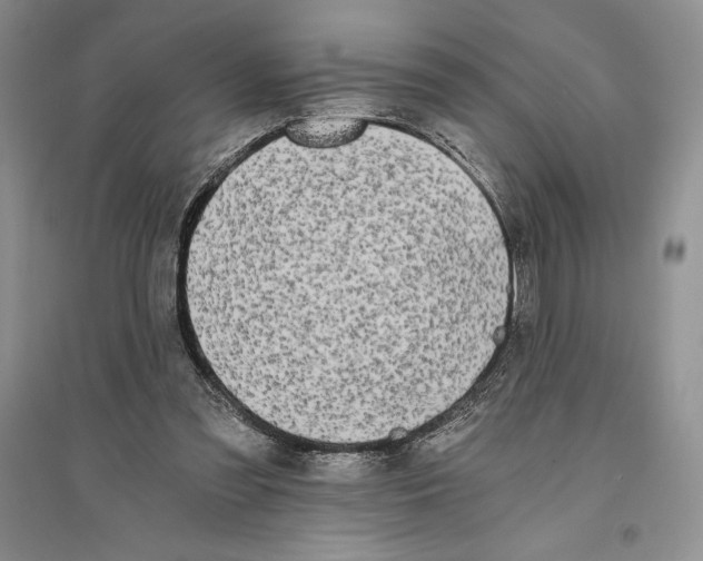 X0000096180301200802151447