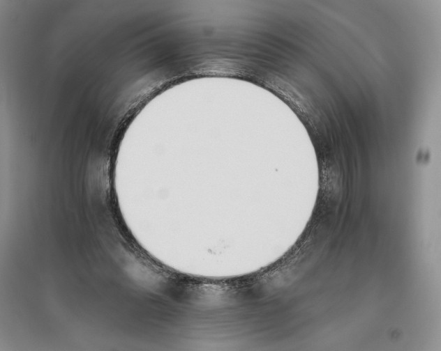 X0000096180302200802151447