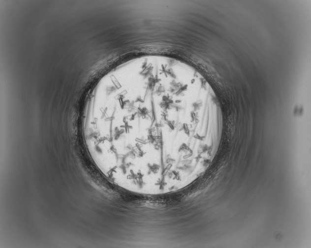 X0000096180303200802151447
