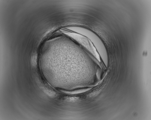 X0000096180304200802151447