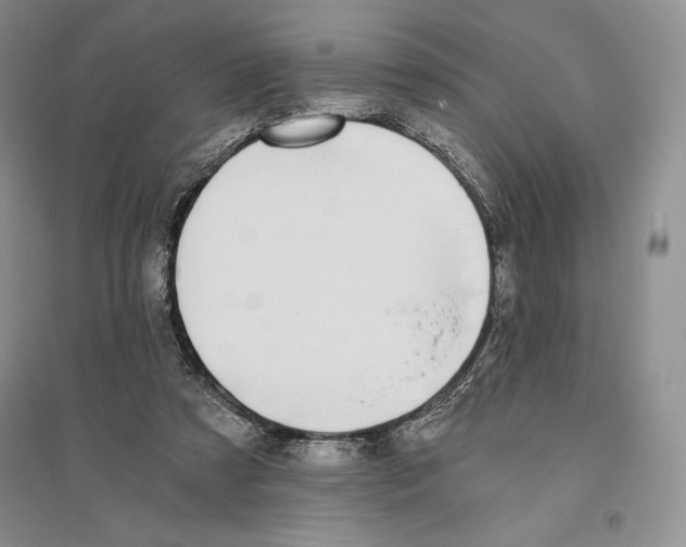 X0000096180305200802151447