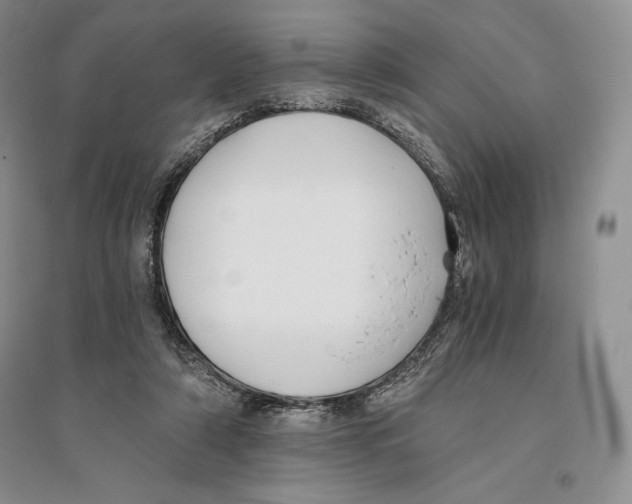 X0000096180306200802151447