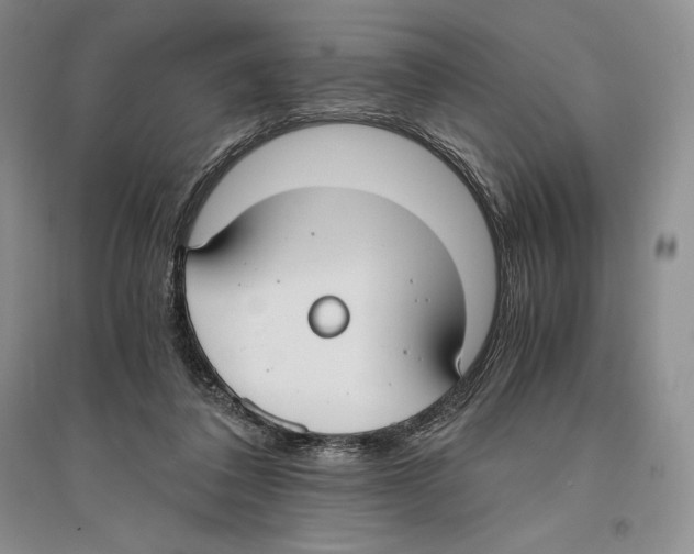 X0000096180308200802151447