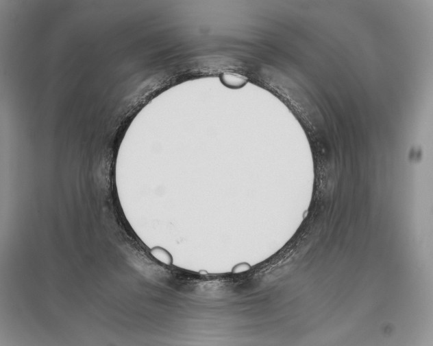 X0000096180309200802151447