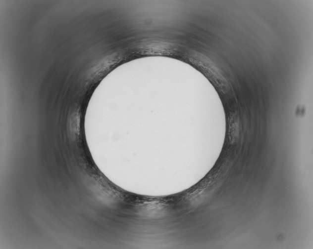 X0000096180310200802151447