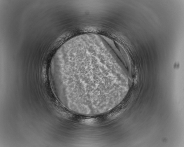 X0000096180312200802151447
