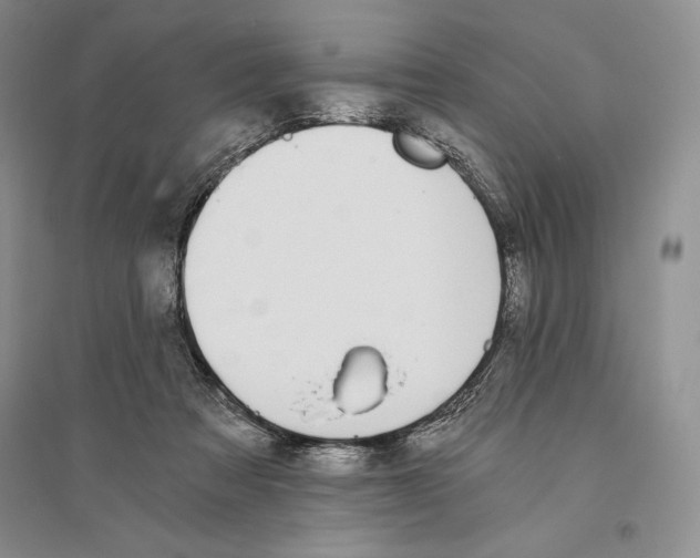 X0000096180313200802151447