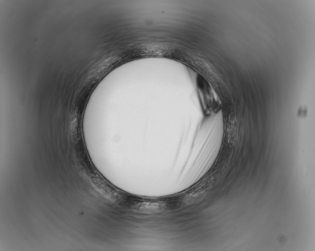 X0000096180314200802151447