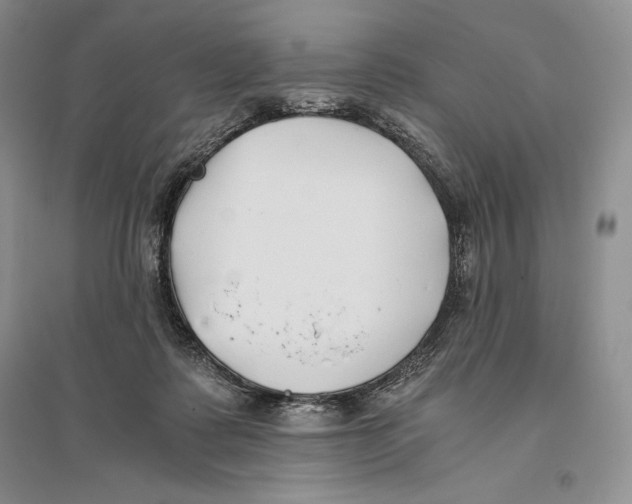 X0000096180315200802151447