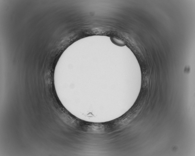 X0000096180317200802151447
