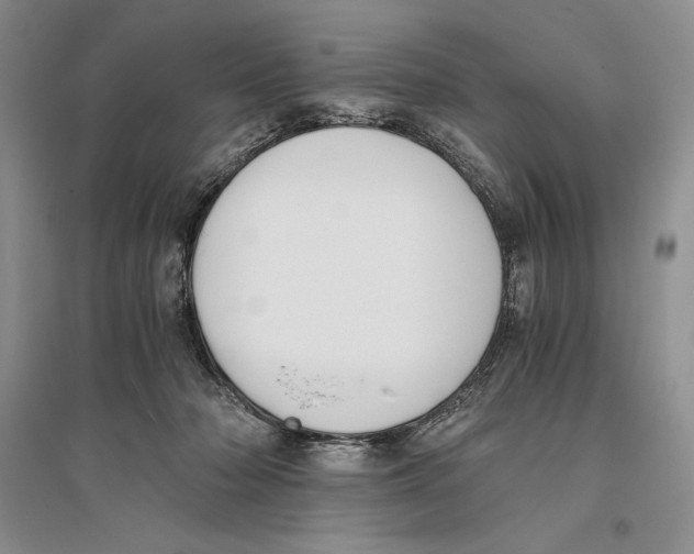 X0000096180318200802151447