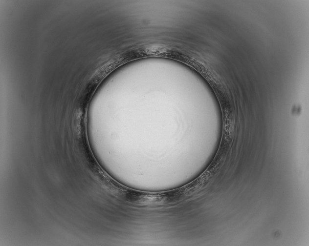X0000096180319200802151447