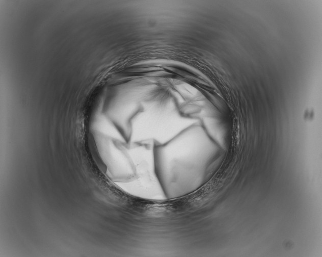 X0000096180320200802151447