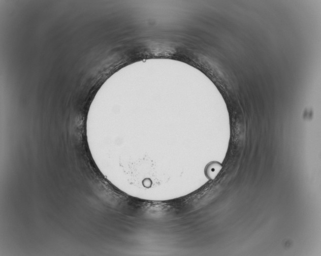X0000096180321200802151447