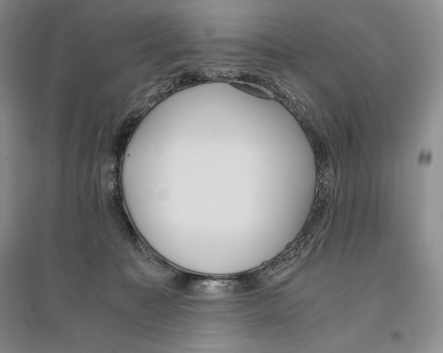 X0000096180323200802151447