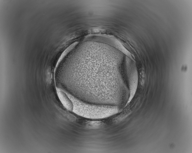 X0000096180324200802151447