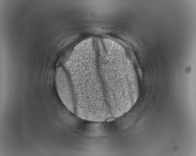 X0000096180325200802151447