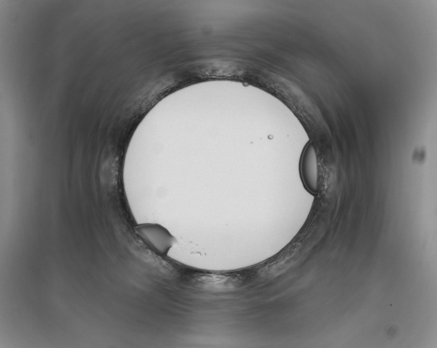 X0000096180326200802151447