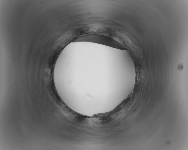X0000096180327200802151447
