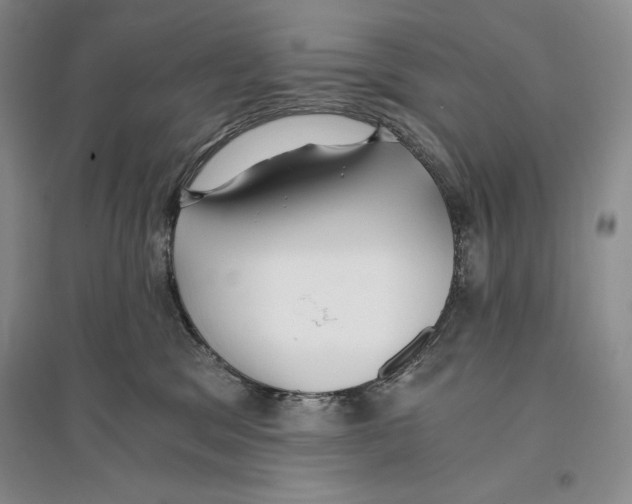 X0000096180329200802151447