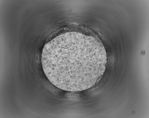 X0000096180331200802151447