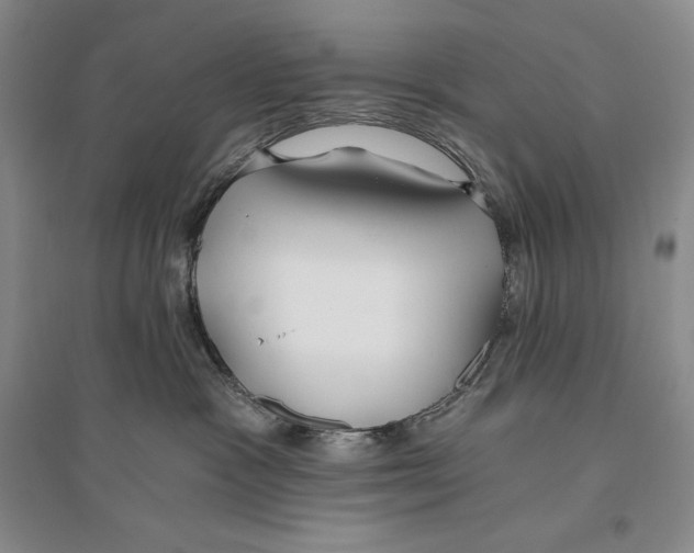 X0000096180333200802151447