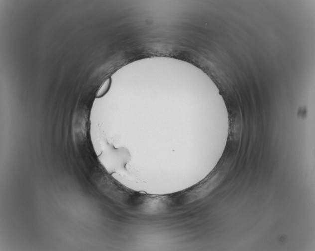X0000096180334200802151447