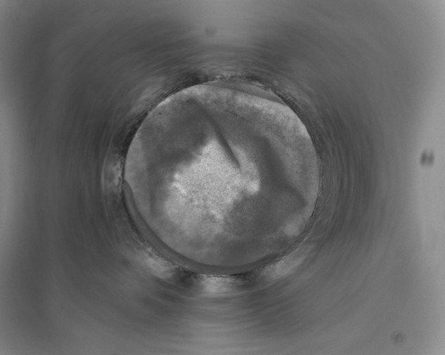X0000096180336200802151447
