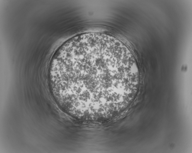X0000096180337200802151446