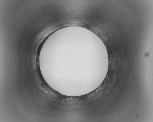 X0000096180338200802151446