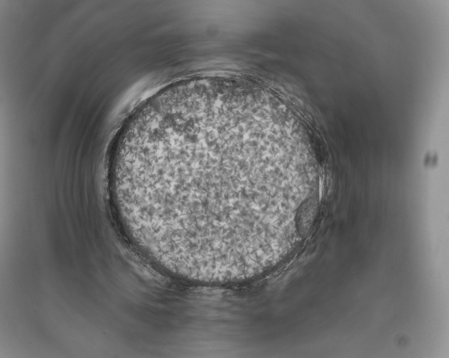 X0000096180339200802151446