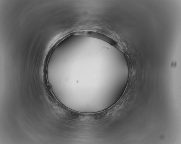 X0000096180340200802151446