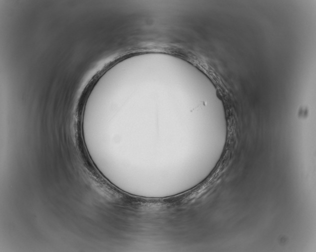 X0000096180342200802151446