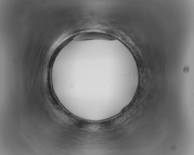 X0000096180344200802151446
