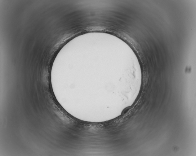X0000096180345200802151446
