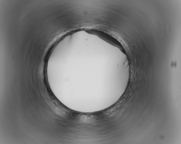 X0000096180346200802151446