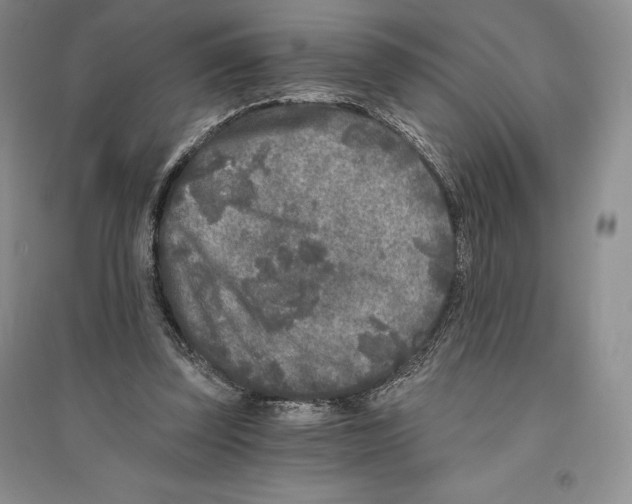 X0000096180347200802151446